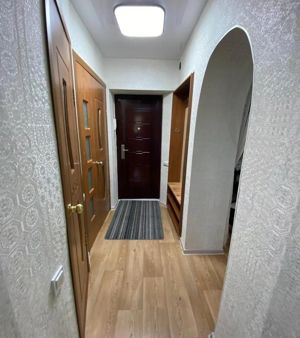Cosy flat Apartment Almaty